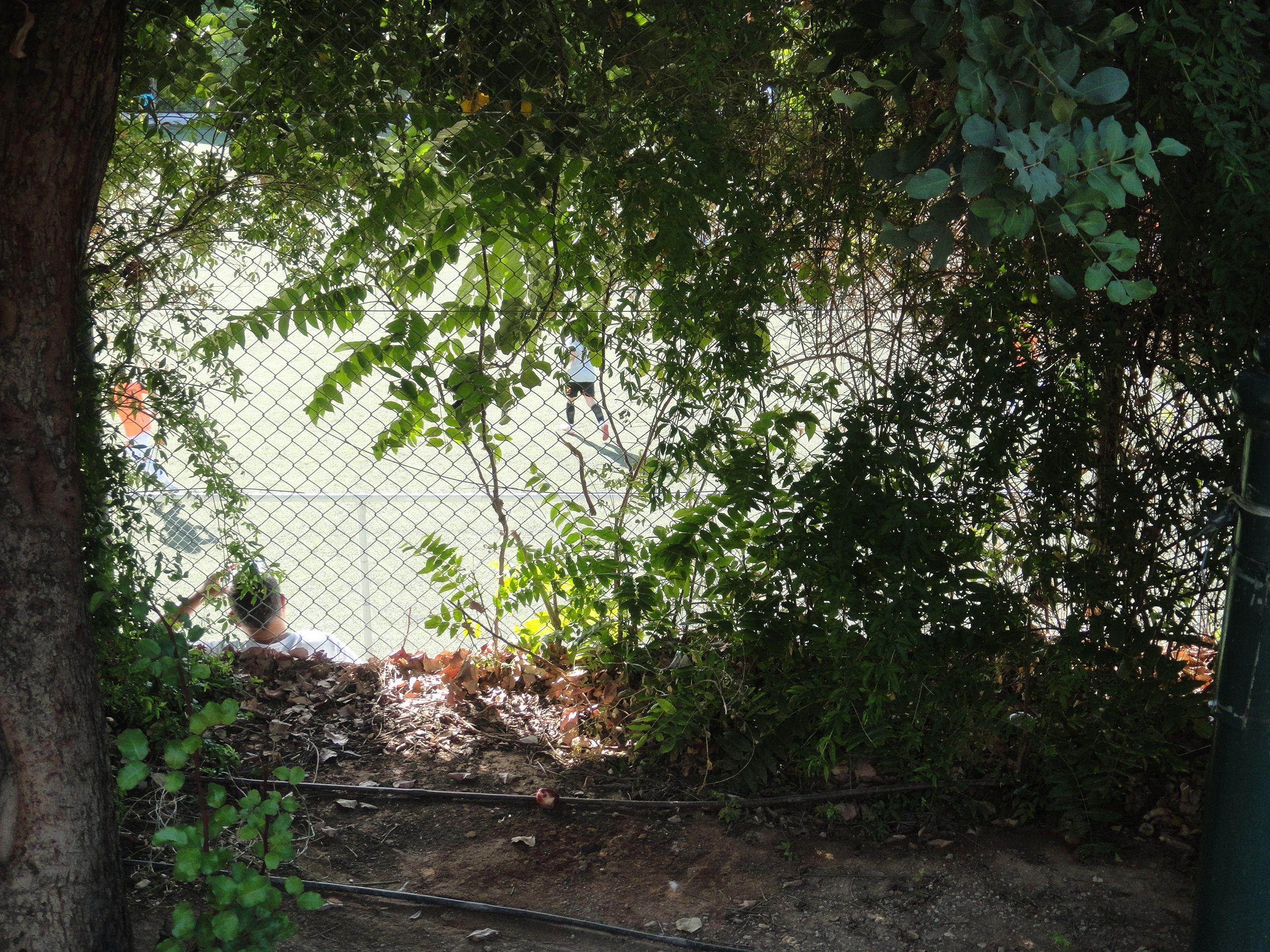 Gyziakos - Argyroupoli