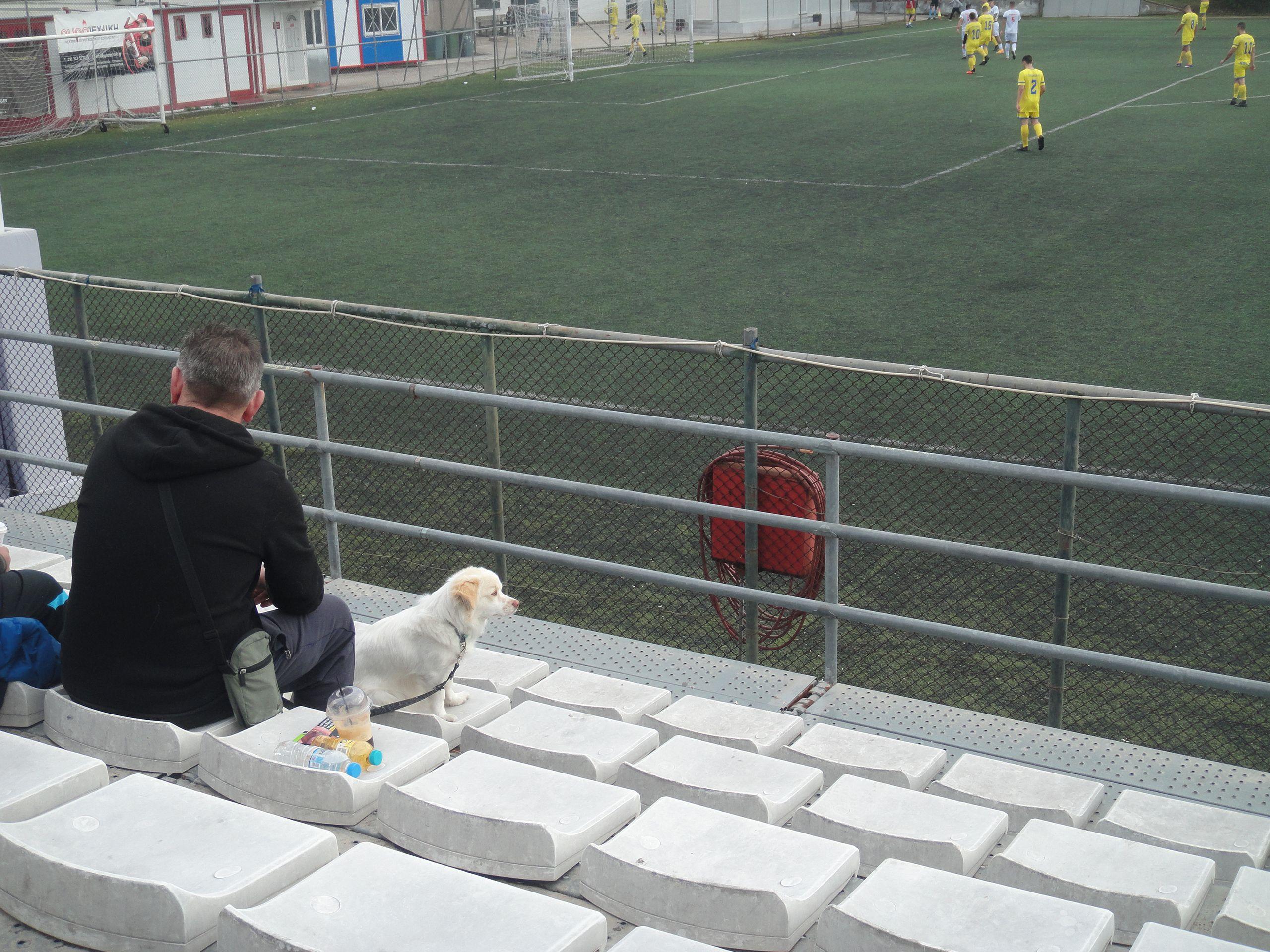 Colonos - Foinikas Peristeriou